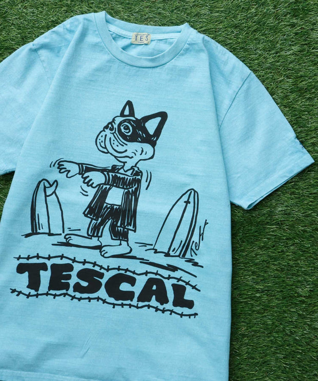 TES VINTAGE GRAPHIC PIGMENT T-SHIRT / Tシャツ