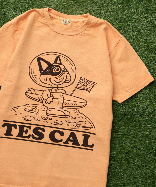 TES VINTAGE GRAPHIC PIGMENT T-SHIRT / Tシャツ