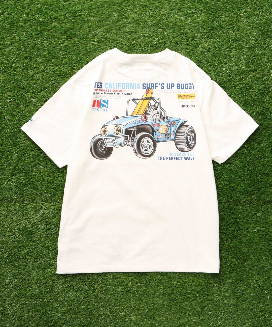 BE:FIRST BE:SUMMER 夏フェス Tシャツ BG 🐲📦️セミぽん甘党📦️🐢🧢🐩🐬🐧🦁🧸🧸🧸 on X: 