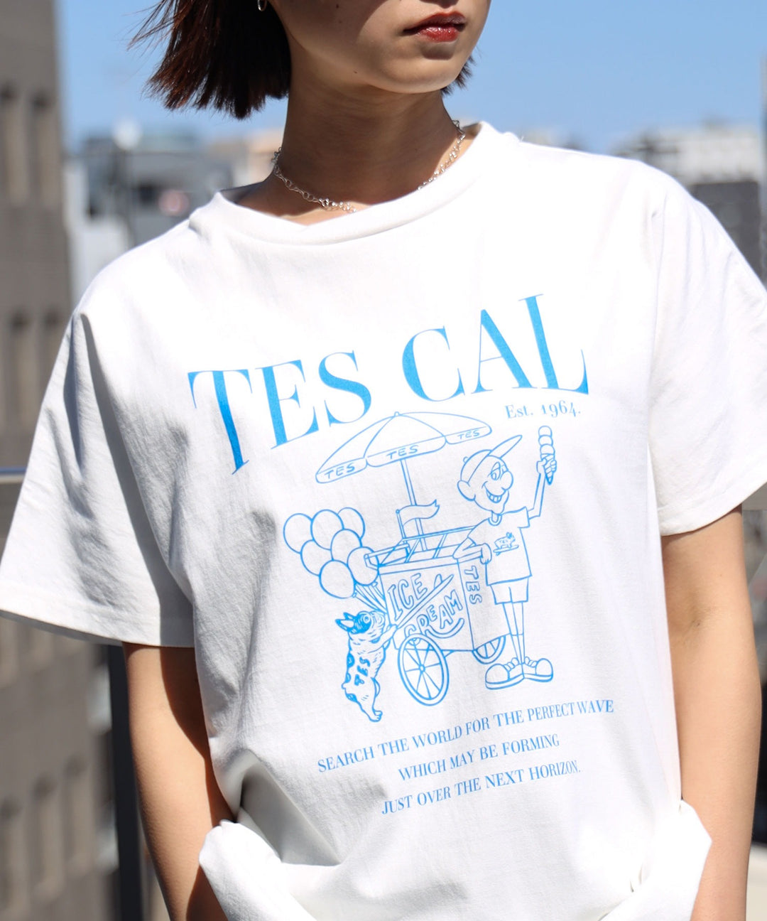 TES FLOCK LOGO LOOSE T-SHIRT / レディースTシャツ – TES | THE