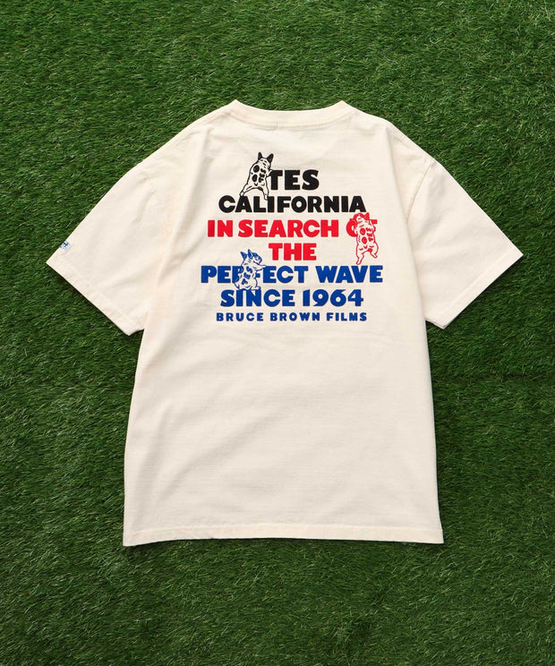 【WEB / FLAG SHOP限定】TES 3COLOR LOGO FLOCK PT T-SHIRT / Tシャツ