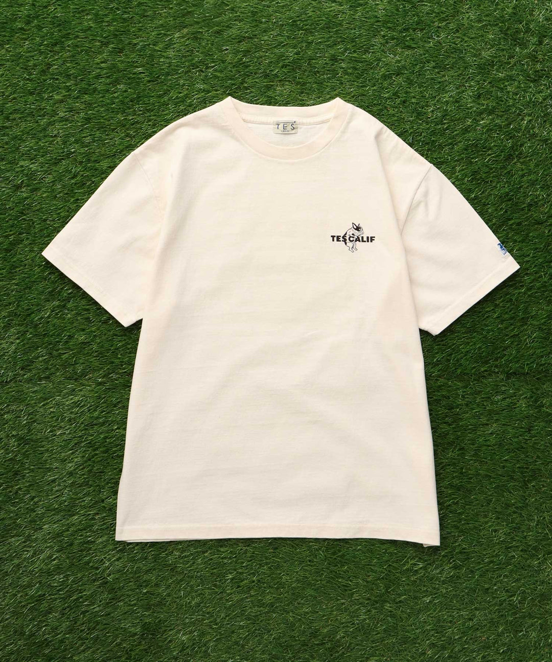 WEB / FLAG SHOP限定】TES 3COLOR LOGO FLOCK PT T-SHIRT / Tシャツ