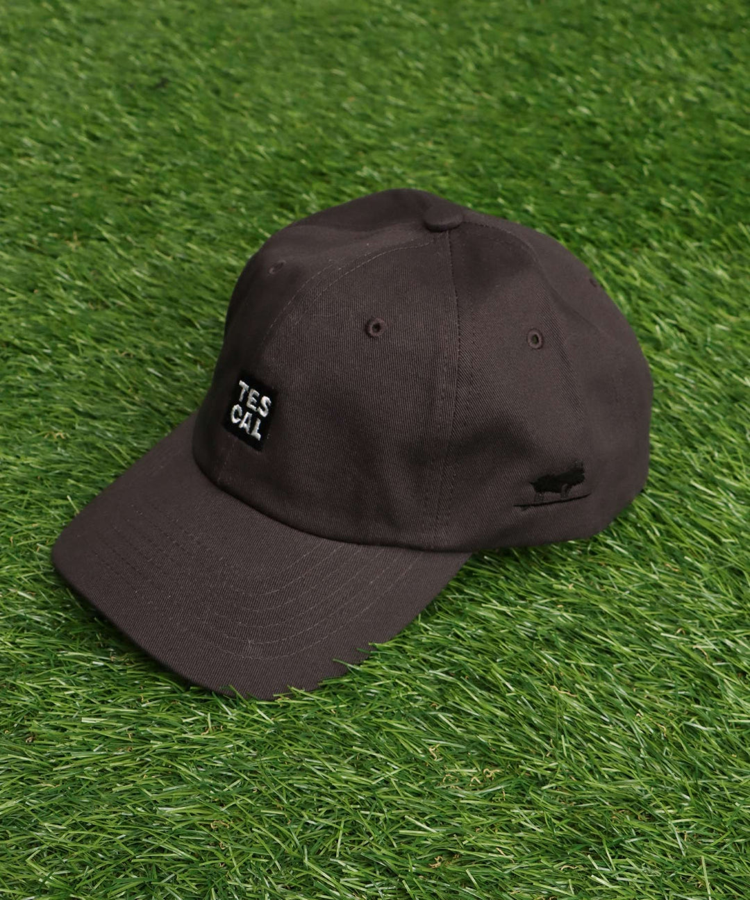 TES SMALL BOX LOGO LOW CAP / キャップ – TES | THE ENDLESS SUMMER