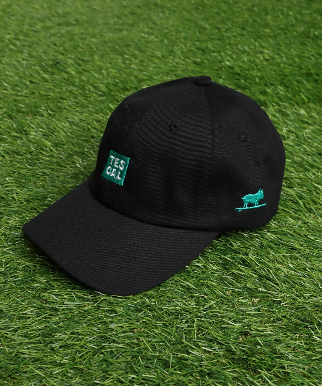TES SMALL BOX LOGO LOW CAP / キャップ – TES | THE ENDLESS SUMMER