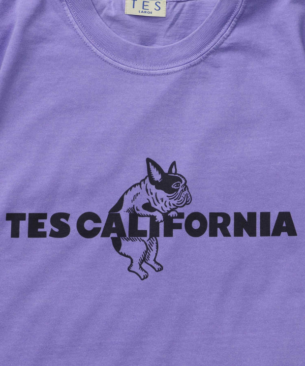 《6月下旬お届け予定》【WEB / FLAG SHOP限定】TES CALIFORNIA PIGMENT DYE T-SHIRT /ピグメント・半袖T