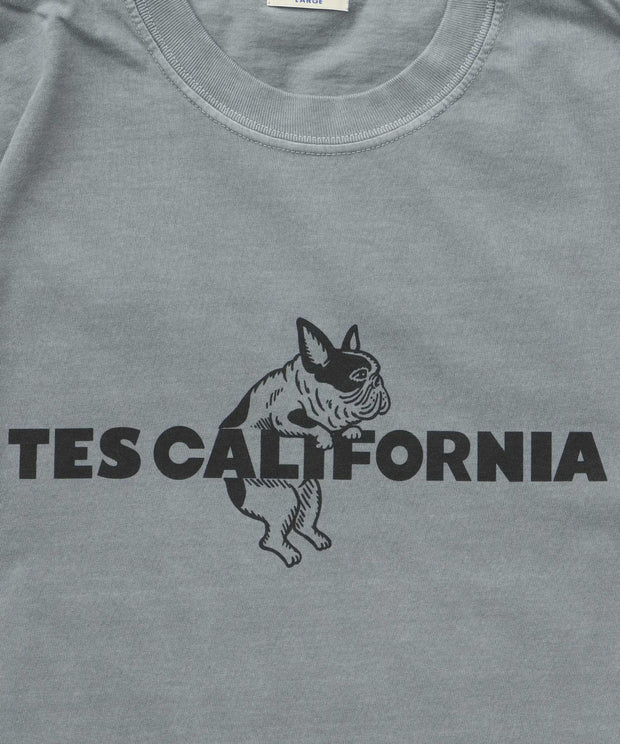 《6月下旬お届け予定》【WEB / FLAG SHOP限定】TES CALIFORNIA PIGMENT DYE T-SHIRT /ピグメント・半袖T