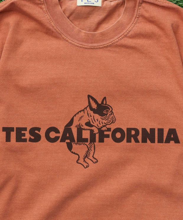 《6月下旬お届け予定》【WEB / FLAG SHOP限定】TES CALIFORNIA PIGMENT DYE T-SHIRT /ピグメント・半袖T