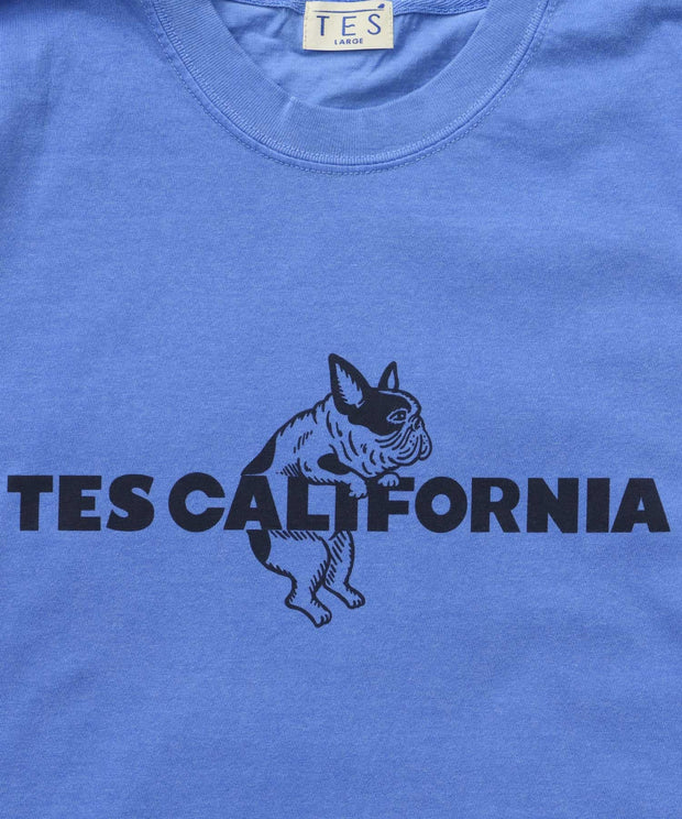 《6月下旬お届け予定》【WEB / FLAG SHOP限定】TES CALIFORNIA PIGMENT DYE T-SHIRT /ピグメント・半袖T