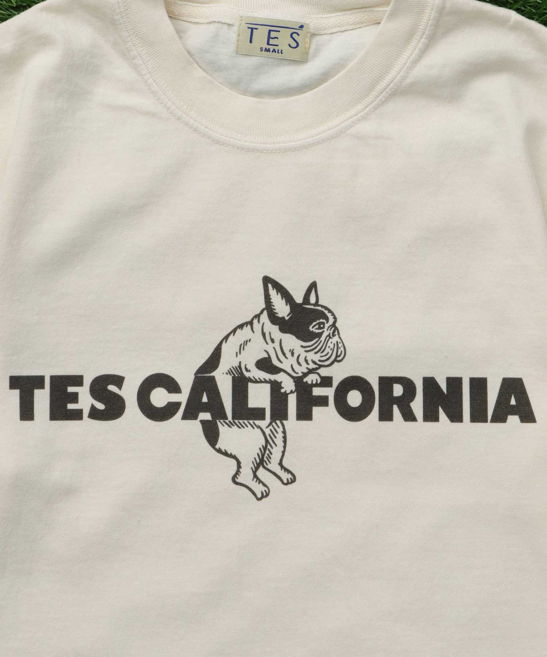 WEB / FLAG SHOP限定】TES CALIFORNIA PIGMENT DYE T-SHIRT