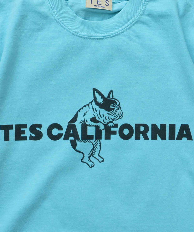 《6月下旬お届け予定》【WEB / FLAG SHOP限定】TES CALIFORNIA PIGMENT DYE T-SHIRT /ピグメント・半袖T