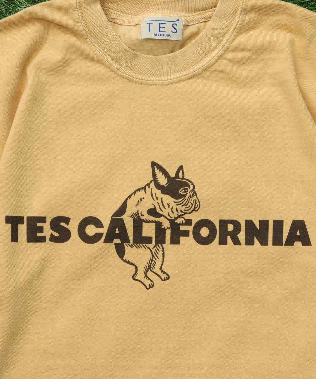 WEB / FLAG SHOP限定】TES CALIFORNIA PIGMENT DYE T-SHIRT