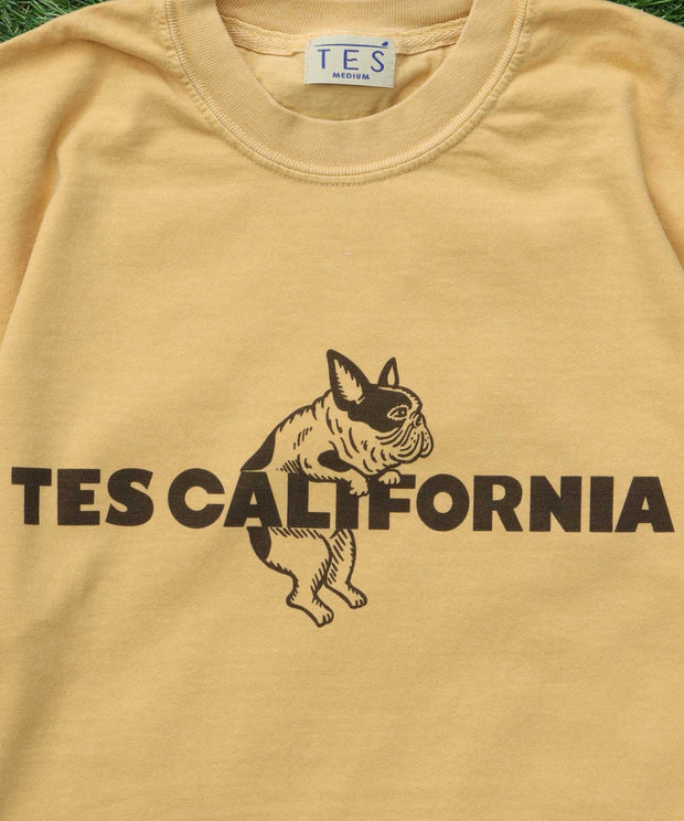《6月下旬お届け予定》【WEB / FLAG SHOP限定】TES CALIFORNIA PIGMENT DYE T-SHIRT /ピグメント・半袖T