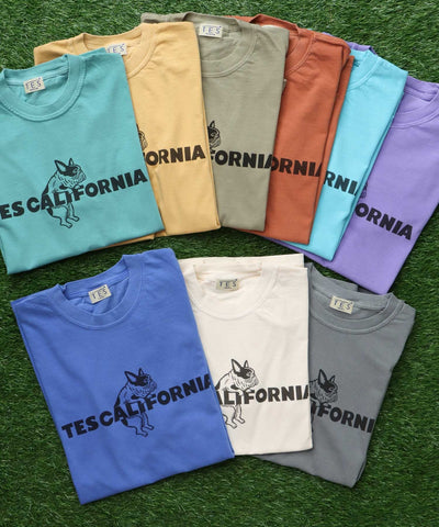 《6月下旬お届け予定》【WEB / FLAG SHOP限定】TES CALIFORNIA PIGMENT DYE T-SHIRT /ピグメント・半袖T