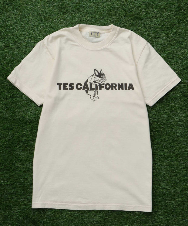 《6月下旬お届け予定》【WEB / FLAG SHOP限定】TES CALIFORNIA PIGMENT DYE T-SHIRT /ピグメント・半袖T