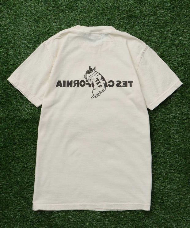 《6月下旬お届け予定》【WEB / FLAG SHOP限定】TES CALIFORNIA PIGMENT DYE T-SHIRT /ピグメント・半袖T