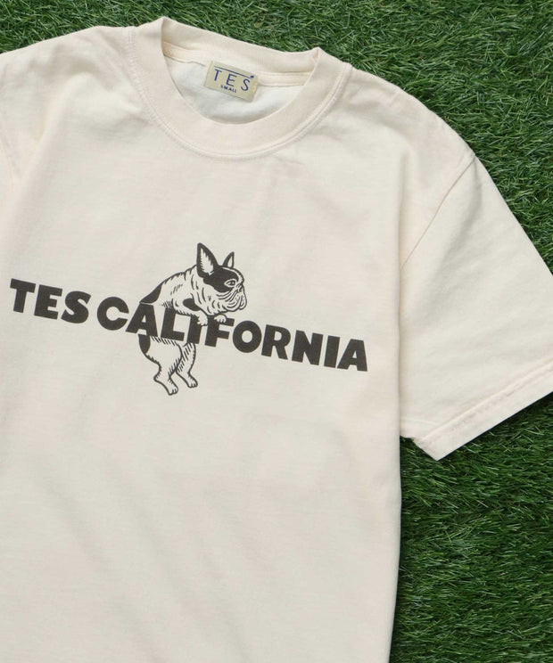 《6月下旬お届け予定》【WEB / FLAG SHOP限定】TES CALIFORNIA PIGMENT DYE T-SHIRT /ピグメント・半袖T