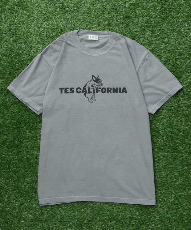 《6月下旬お届け予定》【WEB / FLAG SHOP限定】TES CALIFORNIA PIGMENT DYE T-SHIRT /ピグメント・半袖T