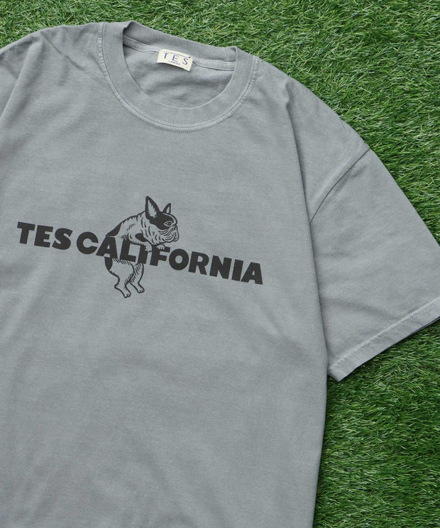 《6月下旬お届け予定》【WEB / FLAG SHOP限定】TES CALIFORNIA PIGMENT DYE T-SHIRT /ピグメント・半袖T