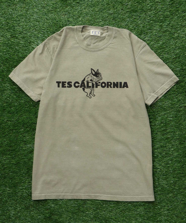 《6月下旬お届け予定》【WEB / FLAG SHOP限定】TES CALIFORNIA PIGMENT DYE T-SHIRT /ピグメント・半袖T