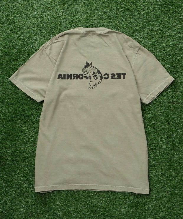 《6月下旬お届け予定》【WEB / FLAG SHOP限定】TES CALIFORNIA PIGMENT DYE T-SHIRT /ピグメント・半袖T