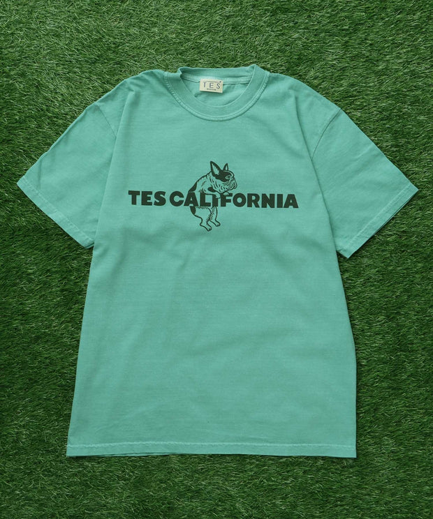 《6月下旬お届け予定》【WEB / FLAG SHOP限定】TES CALIFORNIA PIGMENT DYE T-SHIRT /ピグメント・半袖T