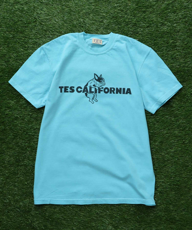 《6月下旬お届け予定》【WEB / FLAG SHOP限定】TES CALIFORNIA PIGMENT DYE T-SHIRT /ピグメント・半袖T