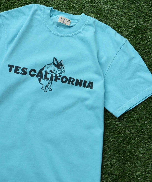 《6月下旬お届け予定》【WEB / FLAG SHOP限定】TES CALIFORNIA PIGMENT DYE T-SHIRT /ピグメント・半袖T