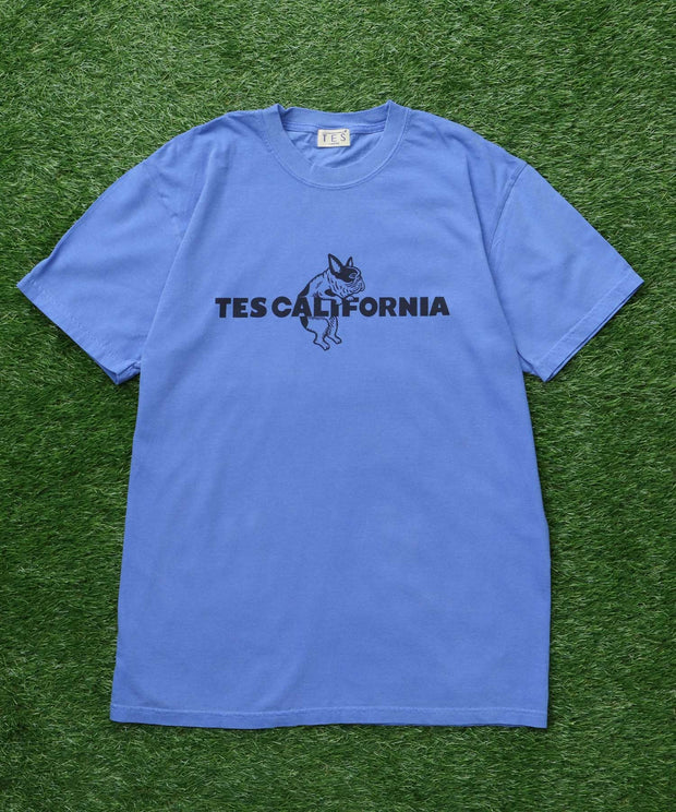 《6月下旬お届け予定》【WEB / FLAG SHOP限定】TES CALIFORNIA PIGMENT DYE T-SHIRT /ピグメント・半袖T