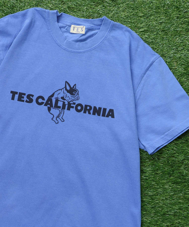 《6月下旬お届け予定》【WEB / FLAG SHOP限定】TES CALIFORNIA PIGMENT DYE T-SHIRT /ピグメント・半袖T