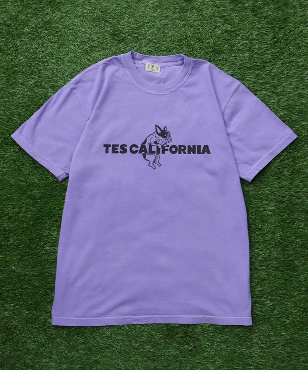 《6月下旬お届け予定》【WEB / FLAG SHOP限定】TES CALIFORNIA PIGMENT DYE T-SHIRT /ピグメント・半袖T
