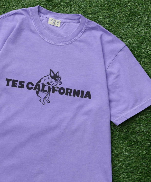 《6月下旬お届け予定》【WEB / FLAG SHOP限定】TES CALIFORNIA PIGMENT DYE T-SHIRT /ピグメント・半袖T