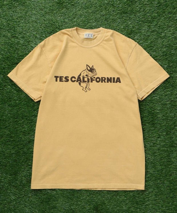 《6月下旬お届け予定》【WEB / FLAG SHOP限定】TES CALIFORNIA PIGMENT DYE T-SHIRT /ピグメント・半袖T