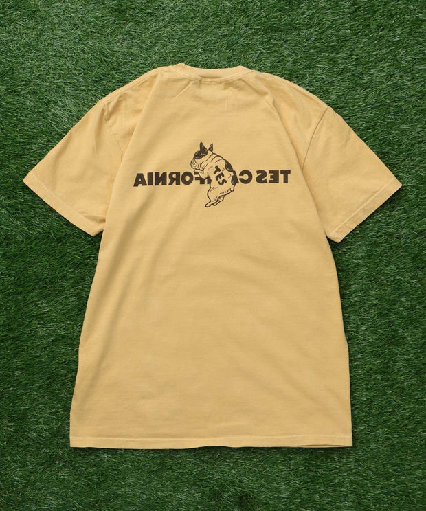 《6月下旬お届け予定》【WEB / FLAG SHOP限定】TES CALIFORNIA PIGMENT DYE T-SHIRT /ピグメント・半袖T