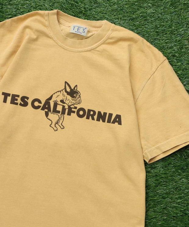 《6月下旬お届け予定》【WEB / FLAG SHOP限定】TES CALIFORNIA PIGMENT DYE T-SHIRT /ピグメント・半袖T
