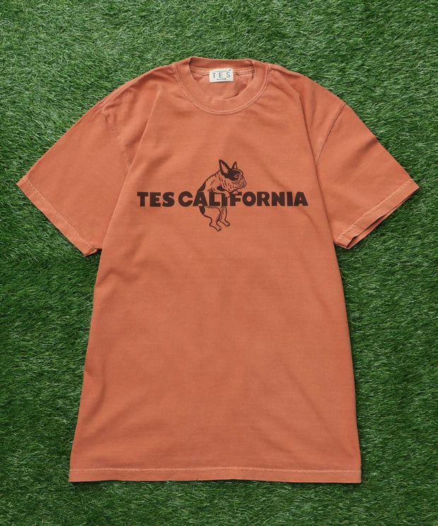 《6月下旬お届け予定》【WEB / FLAG SHOP限定】TES CALIFORNIA PIGMENT DYE T-SHIRT /ピグメント・半袖T