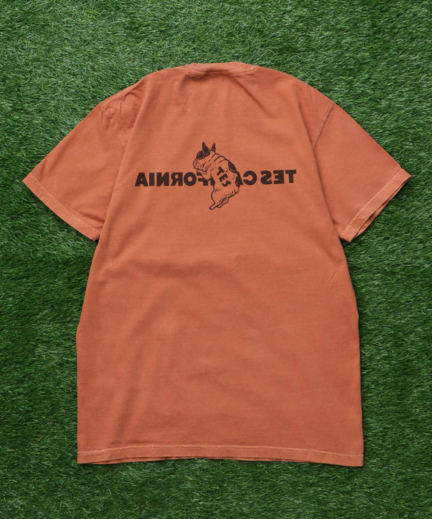 《6月下旬お届け予定》【WEB / FLAG SHOP限定】TES CALIFORNIA PIGMENT DYE T-SHIRT /ピグメント・半袖T