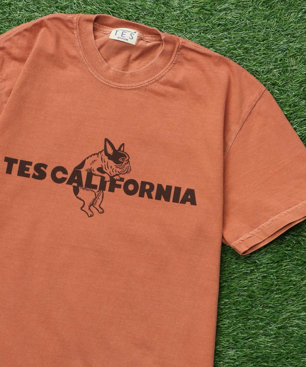 《6月下旬お届け予定》【WEB / FLAG SHOP限定】TES CALIFORNIA PIGMENT DYE T-SHIRT /ピグメント・半袖T
