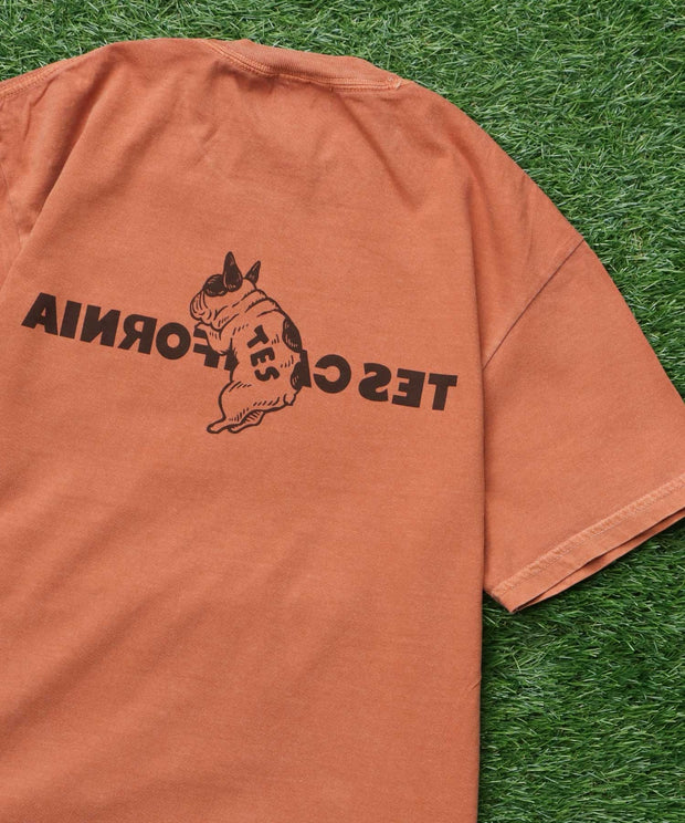 《6月下旬お届け予定》【WEB / FLAG SHOP限定】TES CALIFORNIA PIGMENT DYE T-SHIRT /ピグメント・半袖T