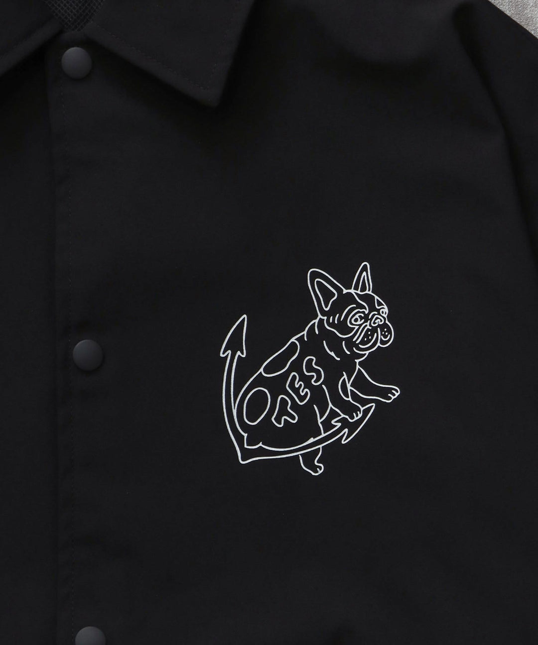 TES BANDANA LOGO COACH JACKET / コーチジャケット – TES | THE