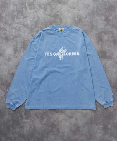 《10月下旬お届け予定》TES CALIFORNIA LOGO PIGMENT LONG SLEEVE BIG T-SHIRT / ロンT