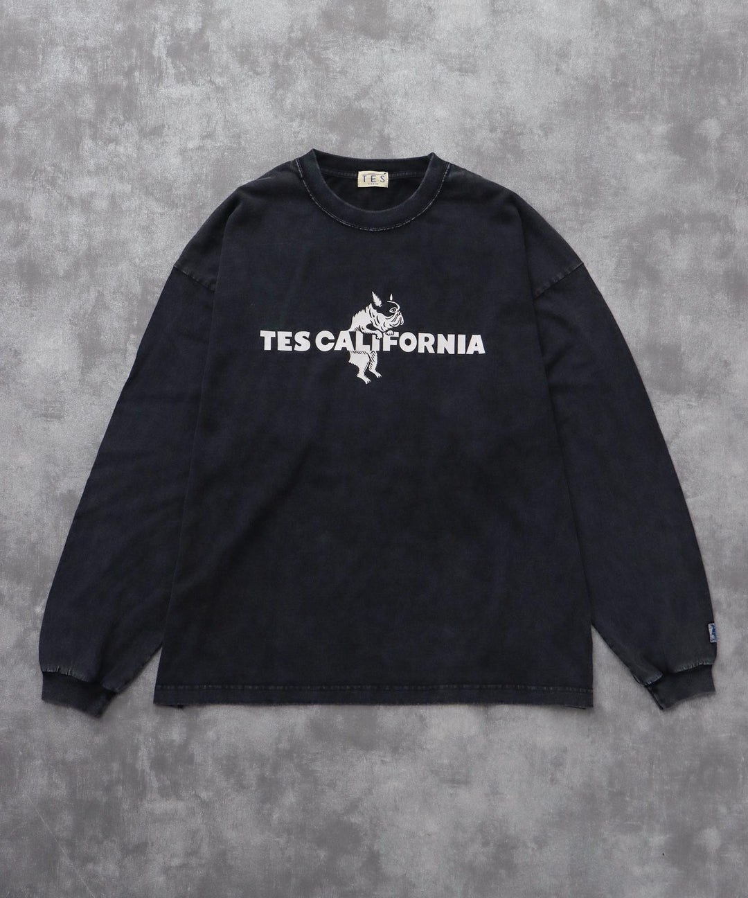 TES CALIFORNIA LOGO PIGMENT LONG SLEEVE BIG T-SHIRT / ロンT – TES 