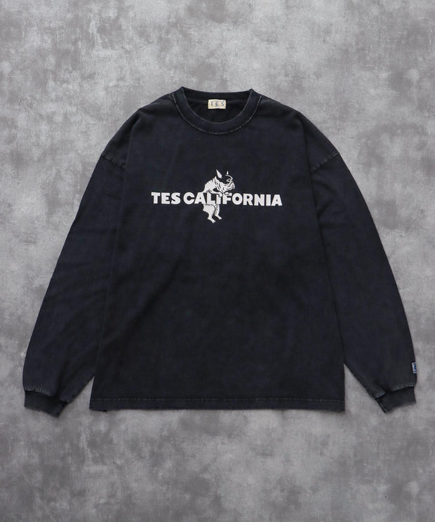 《10月下旬お届け予定》TES CALIFORNIA LOGO PIGMENT LONG SLEEVE BIG T-SHIRT / ロンT