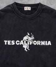 《10月下旬お届け予定》TES CALIFORNIA LOGO PIGMENT LONG SLEEVE BIG T-SHIRT / ロンT