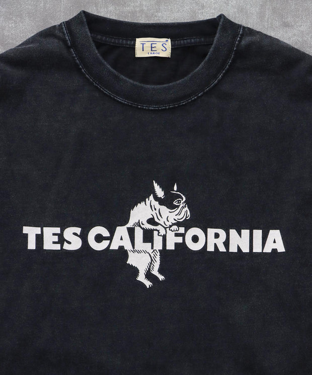 《10月下旬お届け予定》TES CALIFORNIA LOGO PIGMENT LONG SLEEVE BIG T-SHIRT / ロンT