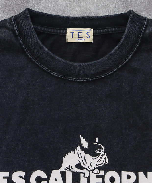 《10月下旬お届け予定》TES CALIFORNIA LOGO PIGMENT LONG SLEEVE BIG T-SHIRT / ロンT