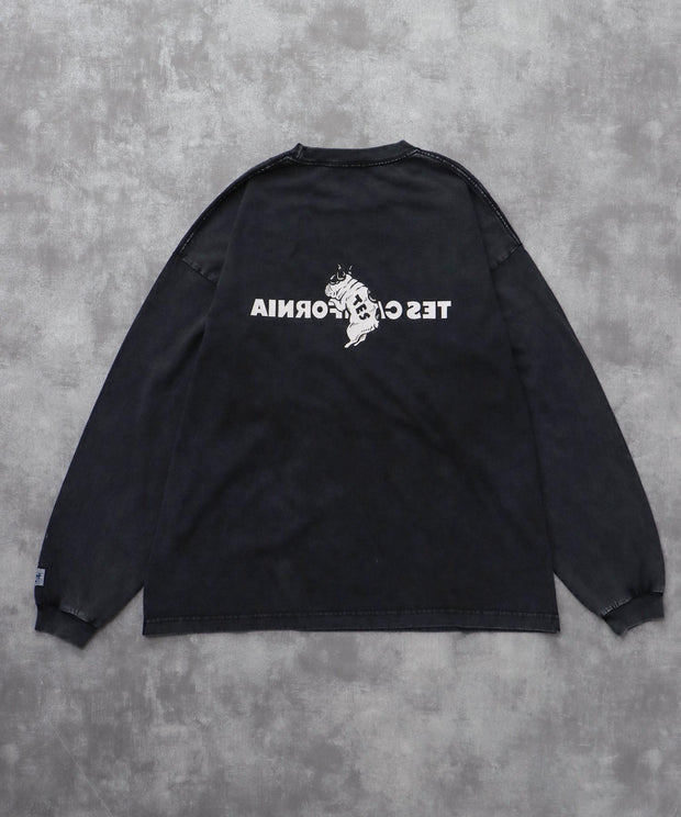 《10月下旬お届け予定》TES CALIFORNIA LOGO PIGMENT LONG SLEEVE BIG T-SHIRT / ロンT