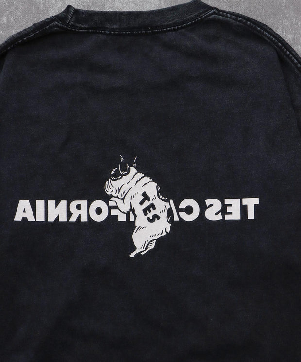 《10月下旬お届け予定》TES CALIFORNIA LOGO PIGMENT LONG SLEEVE BIG T-SHIRT / ロンT