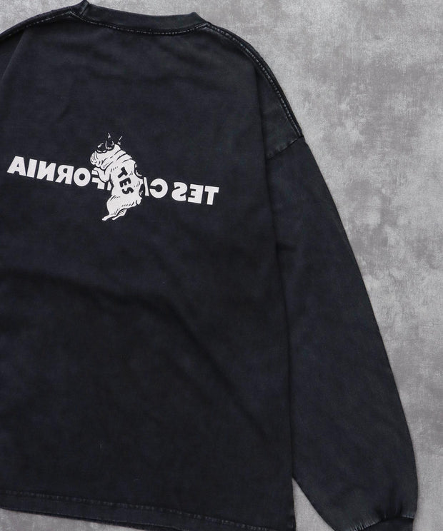 《10月下旬お届け予定》TES CALIFORNIA LOGO PIGMENT LONG SLEEVE BIG T-SHIRT / ロンT
