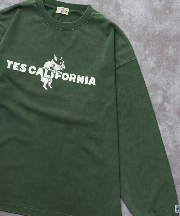 《10月下旬お届け予定》TES CALIFORNIA LOGO PIGMENT LONG SLEEVE BIG T-SHIRT / ロンT