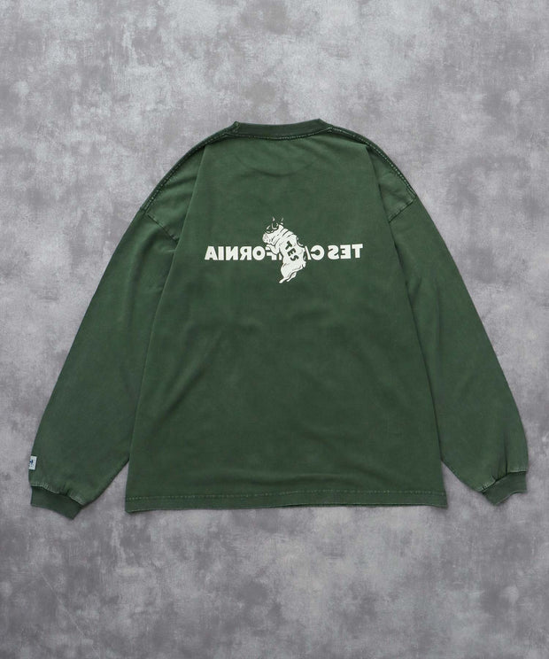 《10月下旬お届け予定》TES CALIFORNIA LOGO PIGMENT LONG SLEEVE BIG T-SHIRT / ロンT
